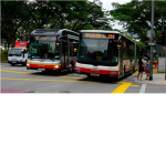 Buses[IN]gapore