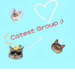 Catest group