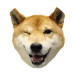 You met DoggoGotSkill
