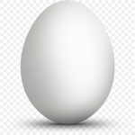 Egg Group (Official) -Gang