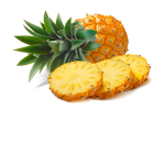 for who like the game tooltoola12 do it game