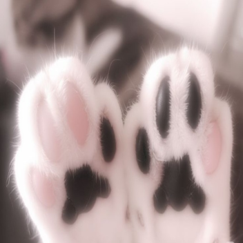 ────୨ৎ────