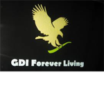 Global Defense Initiative.