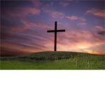 True Believers In Christ