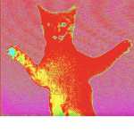 $DINO $QAUD-$HAHAHA$