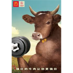 Killer Cows