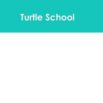 Turtle School