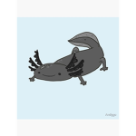Cheris axolotl group