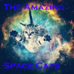 The Amazing Space Cats