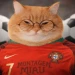 Montagem Miau Slap Tower icon