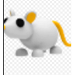 Rat cat