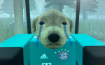 Perrito2012