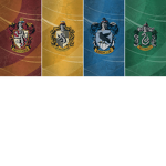 yOuR mUmS a hOrcRuX!