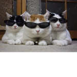 Hi good friends