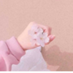 Lottie’s Angelsx