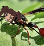 Grupo das best do robux
