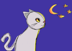 Cats On The Moon