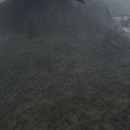 Wild Wild Swamplands