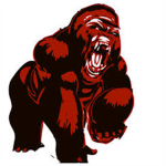 Gorilla Studios