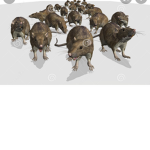 RATTY RAID