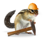 Chipmunk Studio