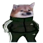 nooooooooobbbbbbb