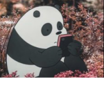 Perfectly Perfect Panda People