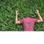 Joe in a bush