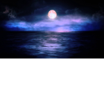 The Moonlight water squad