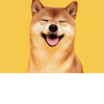 !The Doge Fans!
