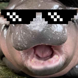 Moodeng - หมูเด้ง icon
