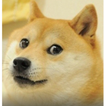 My doge fan