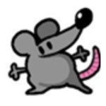 BIG RATS TOGETHER