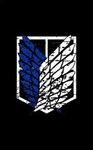 AOT CORP