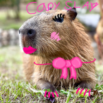 -CapyBara SlayGroup-