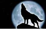 Gaming Wolf Pack