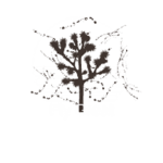 Fly Great