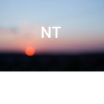 NetTech I NT