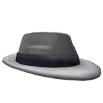 Fedora 33