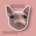 BINGUS CULT!