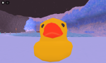 DUCKYS home
