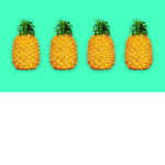 Pineapple Squadddd
