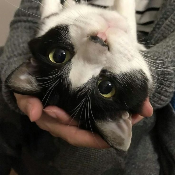 ary