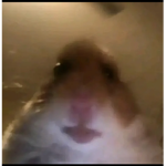 Gabsternugget12