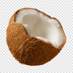 chorongos