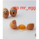 Egg that died