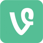 VINES STUDIO