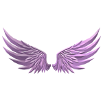 Wings of Support
