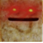 Cinnamon Toast:D