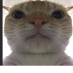 (GALAXY GAMES) TEAM GALAXY FOREVER
